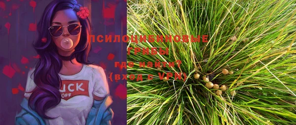 молекула духа Горняк