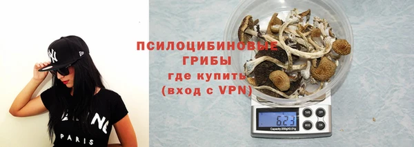 кристаллы Гусь-Хрустальный