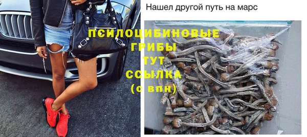 молекула духа Горняк