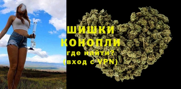 молекула духа Горняк