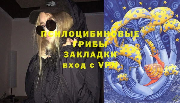 apvp Горно-Алтайск