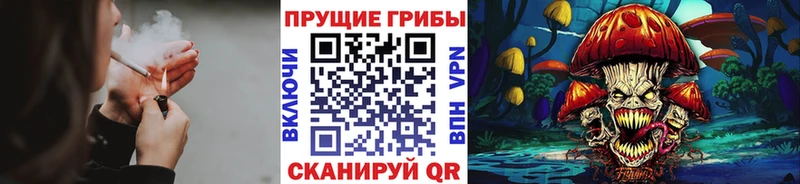 Псилоцибиновые грибы мицелий  Джанкой 